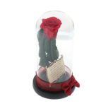 Trandafir criogenat rosu sub cupola cu mesaj zi de nastere 2