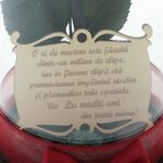 Kriogén vörös rózsa kupola alatt születésnapi üzenettel 5