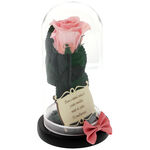 Trandafir criogenat roz sub cupola cu mesaj pentru doamna invatatoare 2