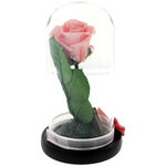 Pink cryogenic rose under dome with message for teacher 3