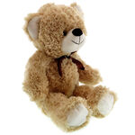 Beige Plush Bear 2