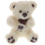 White Teddy Bear Miss You 2