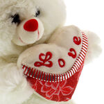 Plush Bear with Heart 4