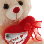 Teddy Bear with Heart 4