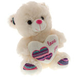 Rainbow Heart Teddy Bear 1