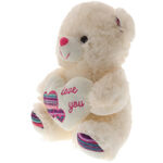 Rainbow Heart Teddy Bear 3