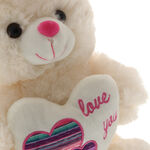 Rainbow Heart Teddy Bear 4