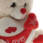 Plush Teddy Bear Love You 4