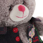 Grey Teddy Bear 4