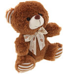 Brown Teddy Bear Love You 1