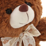 Brown Teddy Bear Love You 4