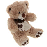 Brown Teddy Bear Miss You 1