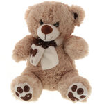 Brown Teddy Bear Miss You 2