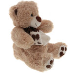 Brown Teddy Bear Miss You 3