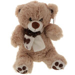 Brown Teddy Bear Miss You 4