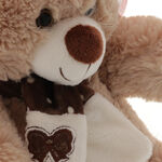 Brown Teddy Bear Miss You 5