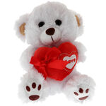 White teddy bear with a red heart 1