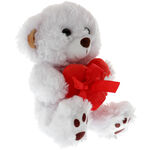 White teddy bear with a red heart 2