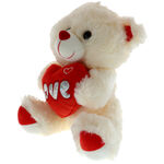 Teddy bear plus red white love 24cm 3