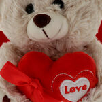 Beige teddy bear with a red heart 4