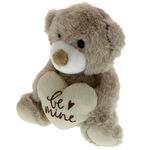 Teddy bear plus cream be mine 20cm 2