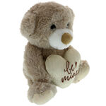 Teddy bear plus cream be mine 20cm 3