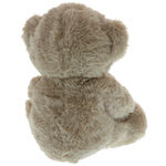 Teddy bear plus cream be mine 20cm 4