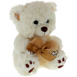 Cream teddy bear with a brown heart 2