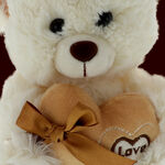 Cream teddy bear with a brown heart 4