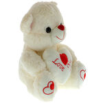 Teddy bear plus love you 25cm 3