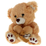 Brown teddy bear with a heart 1