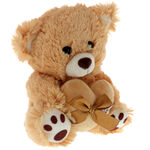 Brown teddy bear with a heart 3