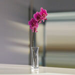 Transparent acrylic vase 2