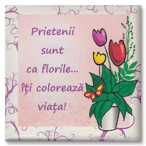 Magnet frigider Prietenii sunt ca florile