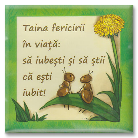 Magnet frigider Taina fericirii