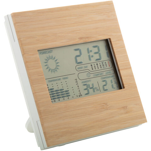 Bamboo Weather Station 