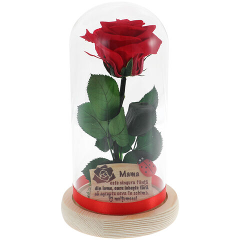 Gift for Mother Forever Rose