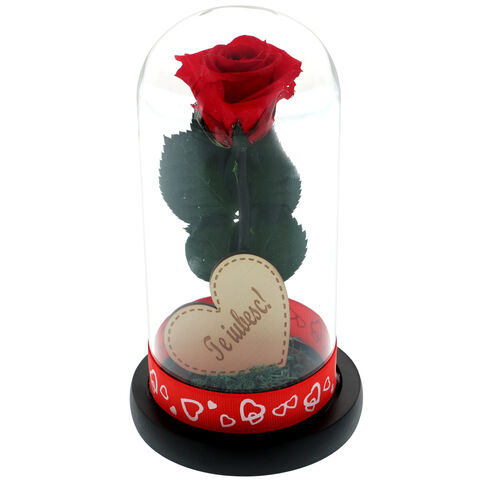 Cryogenic red rose under dome with message I love you