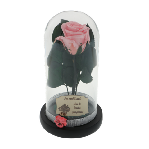 Pink cryogenic rose under glass dome with the message Happy Birthday